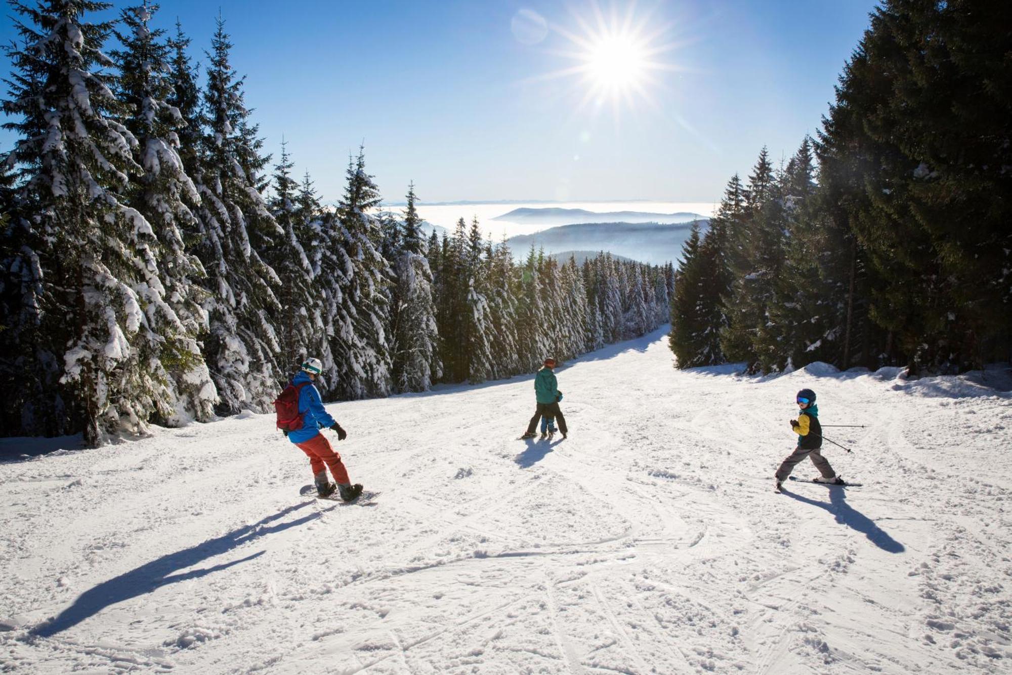 Drei Tannen - Wohnung 09 - Apartmenthaus, Titisee, Feldberg Luaran gambar