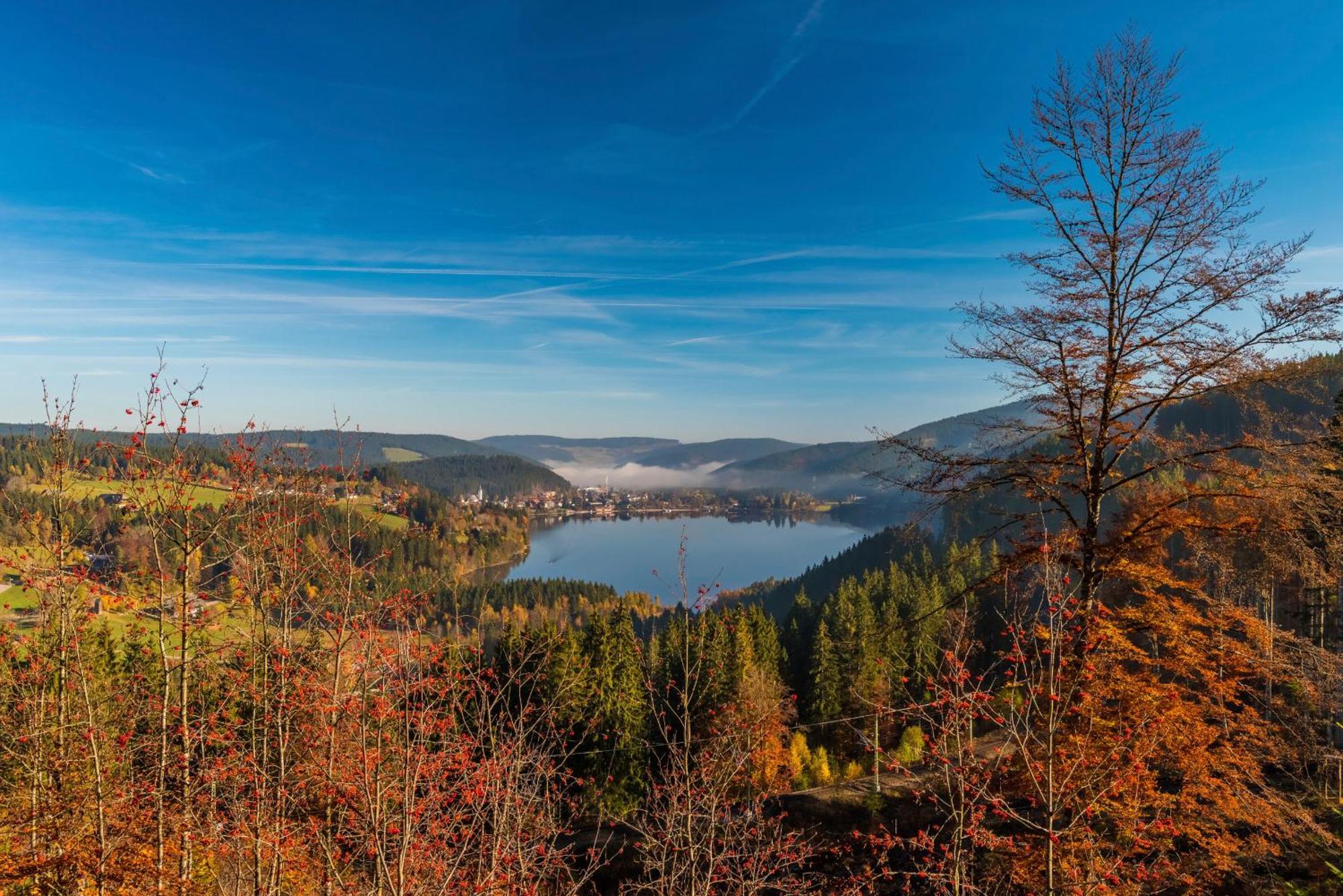 Drei Tannen - Wohnung 09 - Apartmenthaus, Titisee, Feldberg Luaran gambar