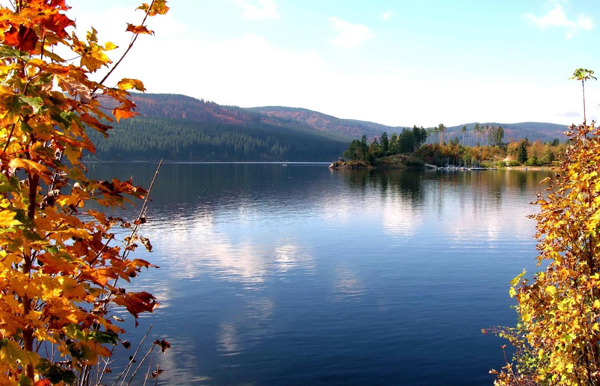 Drei Tannen - Wohnung 09 - Apartmenthaus, Titisee, Feldberg Luaran gambar